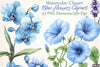 Blue Flowers Clipart Bundle