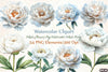 White Peony Flowers Clipart Bundle