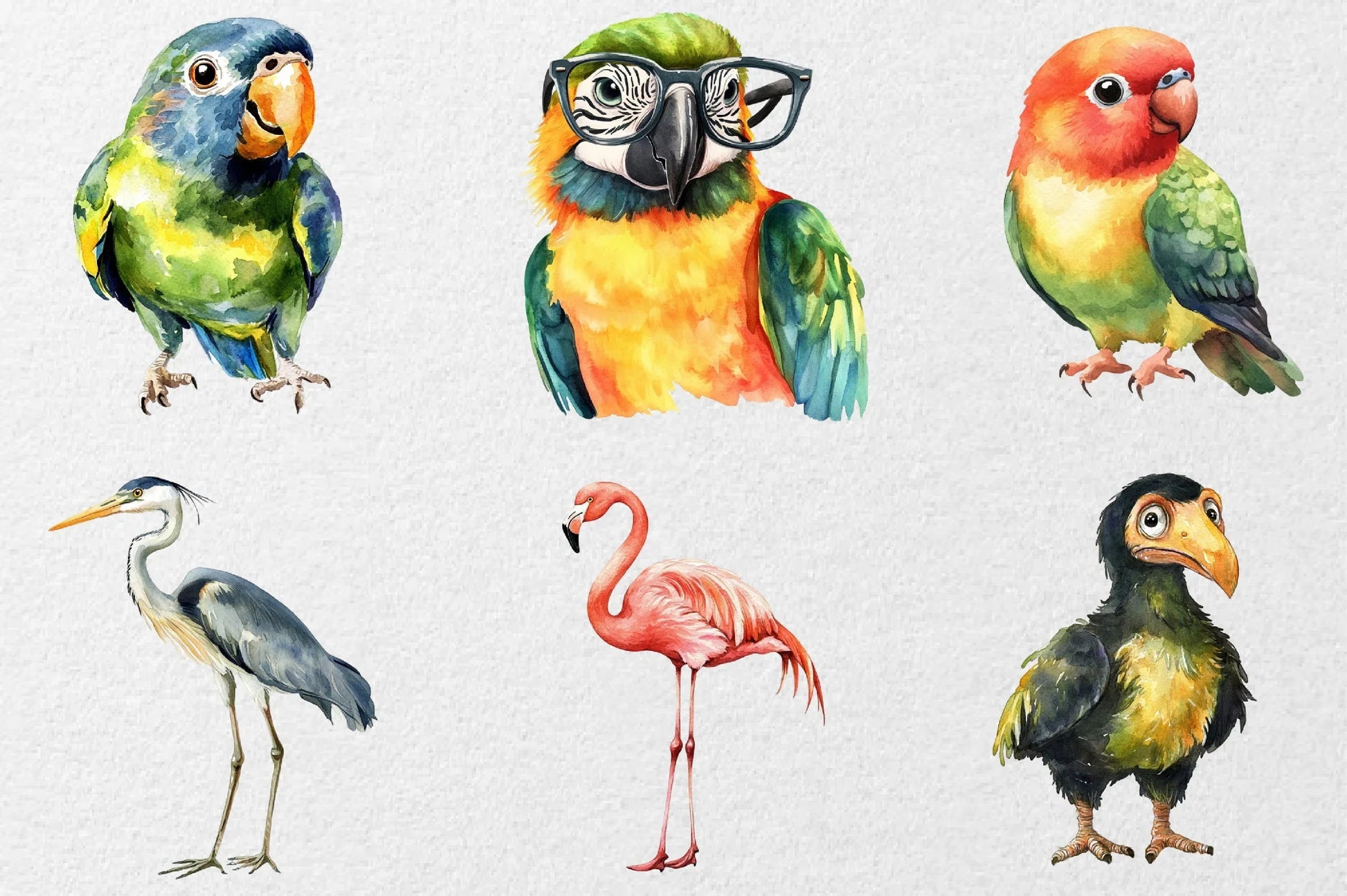 Funny Birds Clipart Collection Bundle - CraftNest - Digital Crafting and Art