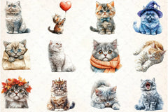 Selkirk Rex Cat Clipart Bundle - CraftNest - Digital Crafting and Art