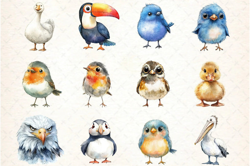 Funny Bird Clipart Bundle - CraftNest - Digital Crafting and Art