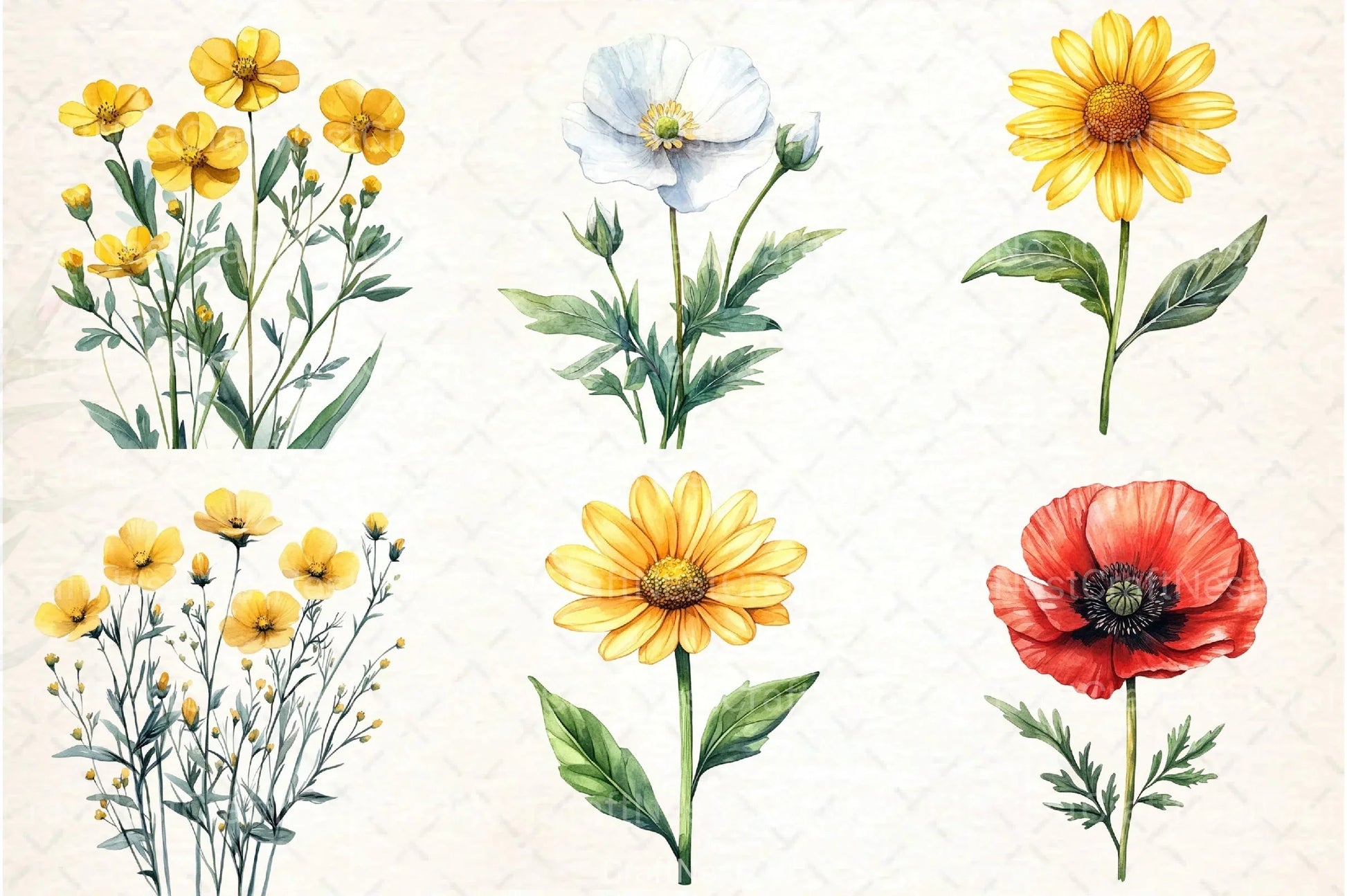Wild Flowers Clipart Bundle - CraftNest - Digital Crafting and Art