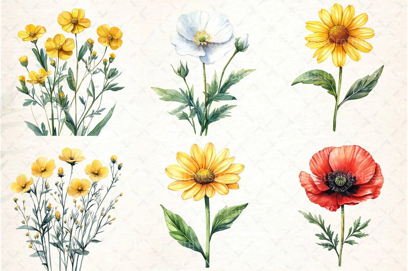 Wild Flowers Clipart Bundle - CraftNest - Digital Crafting and Art
