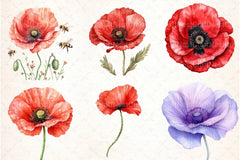 Poppy Flowers Clipart Bundle 888 - CraftNest - Digital Crafting and Art