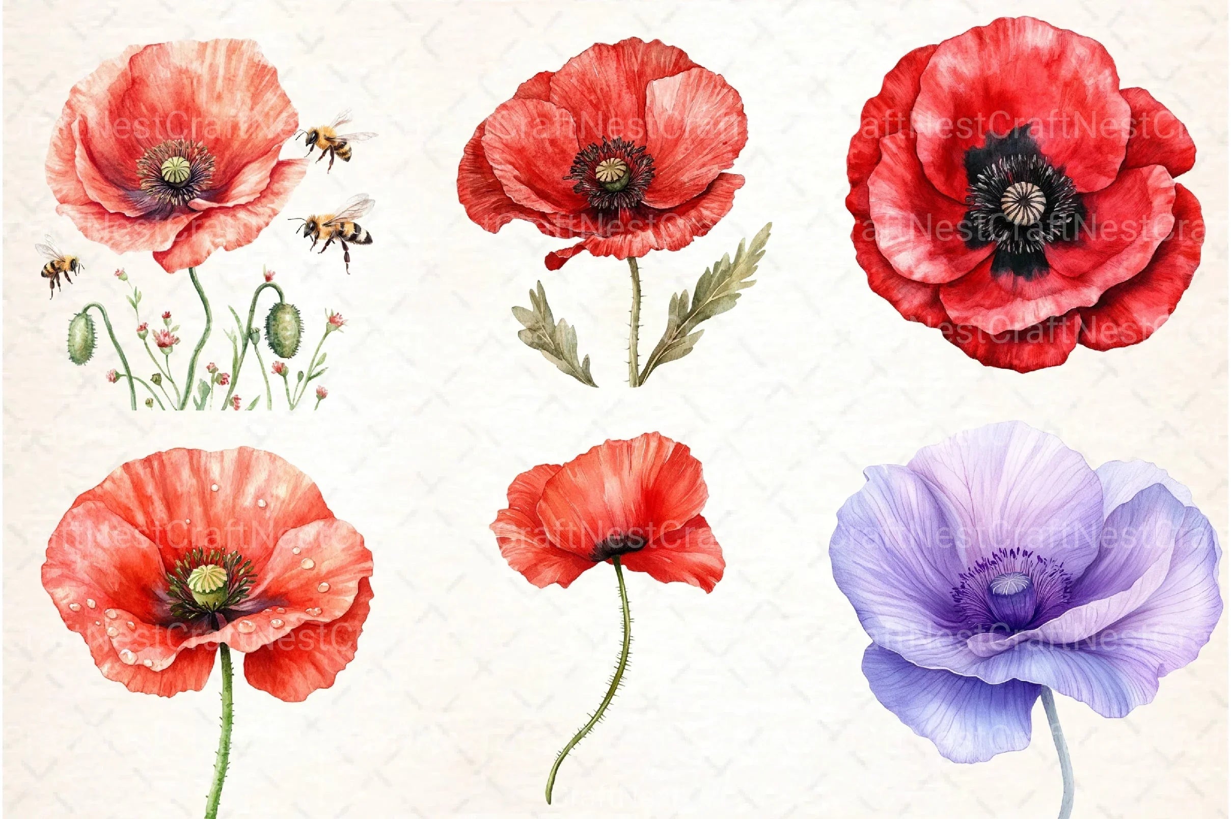 Poppy Flowers Clipart Bundle 888 - CraftNest - Digital Crafting and Art