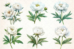 White Peony Flowers Clipart Bundle - CraftNest - Digital Crafting and Art