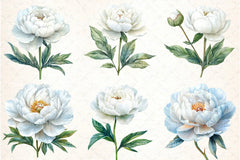 White Peony Flowers Clipart Bundle - CraftNest - Digital Crafting and Art