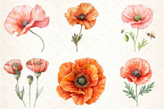 Poppy Flowers Clipart Bundle 888 - CraftNest - Digital Crafting and Art