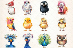 Funny Bird Clipart Bundle - CraftNest - Digital Crafting and Art