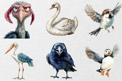Funny Birds Clipart Collection Bundle - CraftNest - Digital Crafting and Art