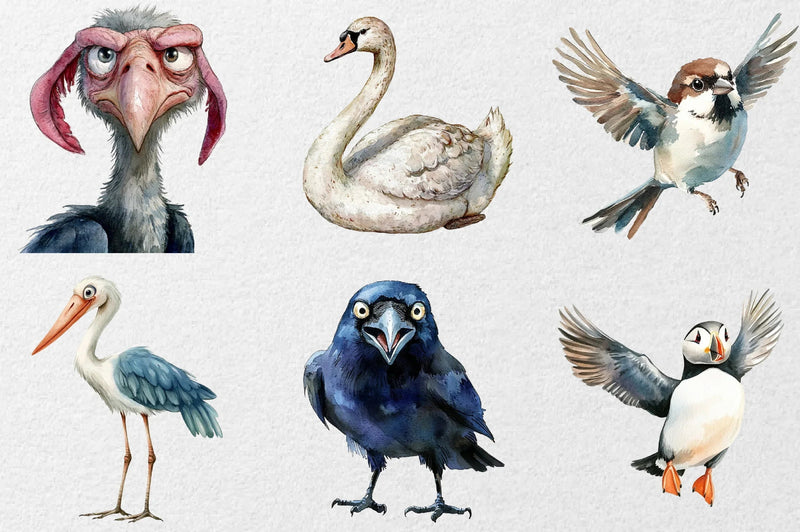 Funny Birds Clipart Collection Bundle - CraftNest - Digital Crafting and Art