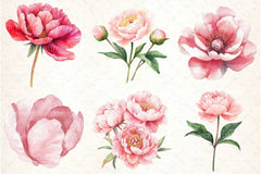 Blush Peonies Flowers Clipart Bundle - CraftNest - Digital Crafting and Art