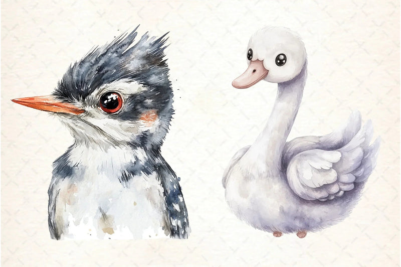 Funny Bird Clipart Bundle - CraftNest - Digital Crafting and Art