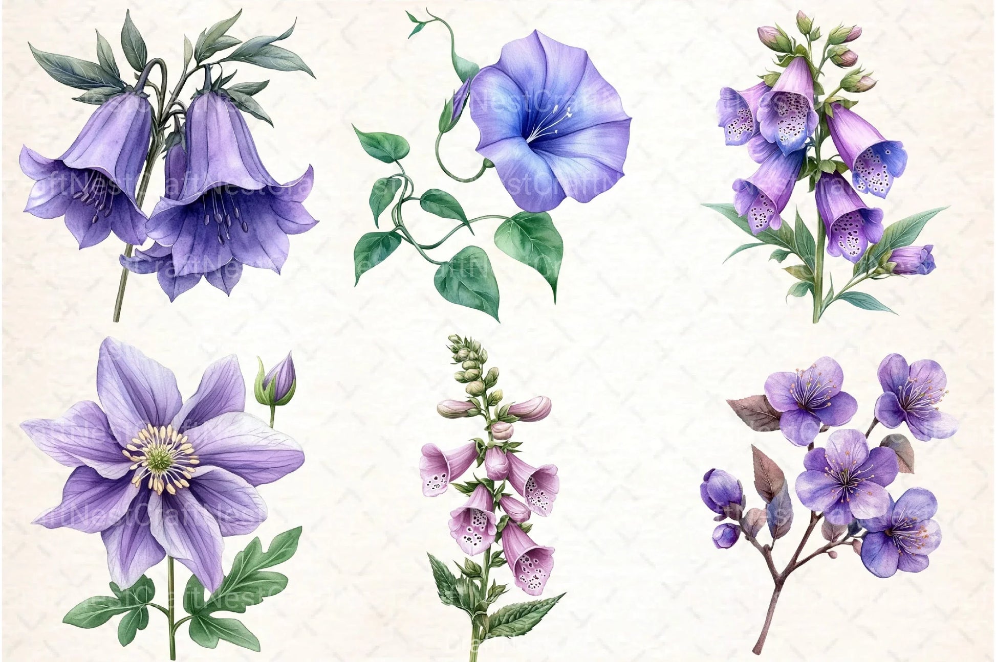 Purple Flowers Clipart Bundle 1 - CraftNest - Digital Crafting and Art