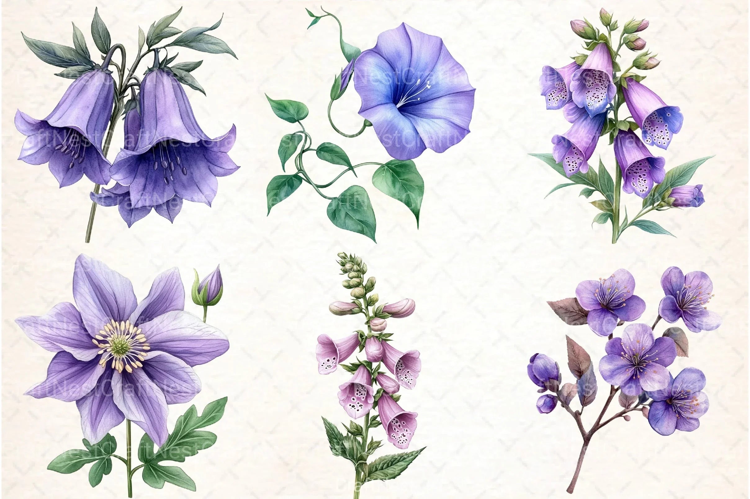 Purple Flowers Clipart Bundle 1 - CraftNest - Digital Crafting and Art