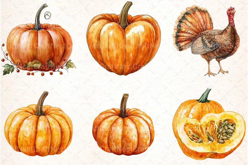 Thanksgiving Turkey and Pumpkin Clipart Bundle - CraftNest - Digital Crafting and Art