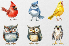 Funny Birds Clipart Collection Bundle - CraftNest - Digital Crafting and Art