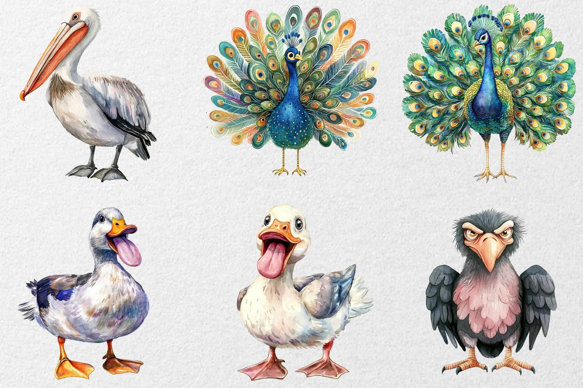 Funny Birds Clipart Collection Bundle - CraftNest - Digital Crafting and Art