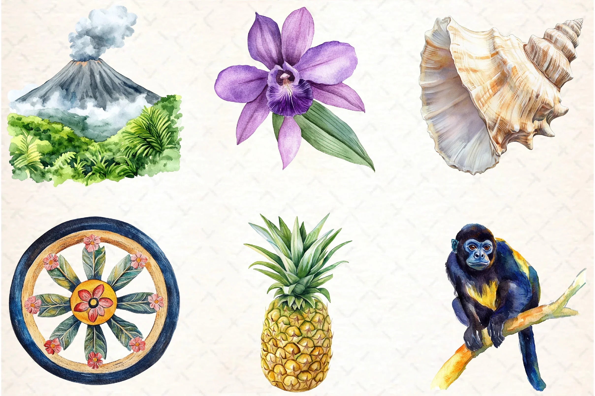 Rainforest Vintage Nature Clipart Bundle - CraftNest - Digital Crafting and Art
