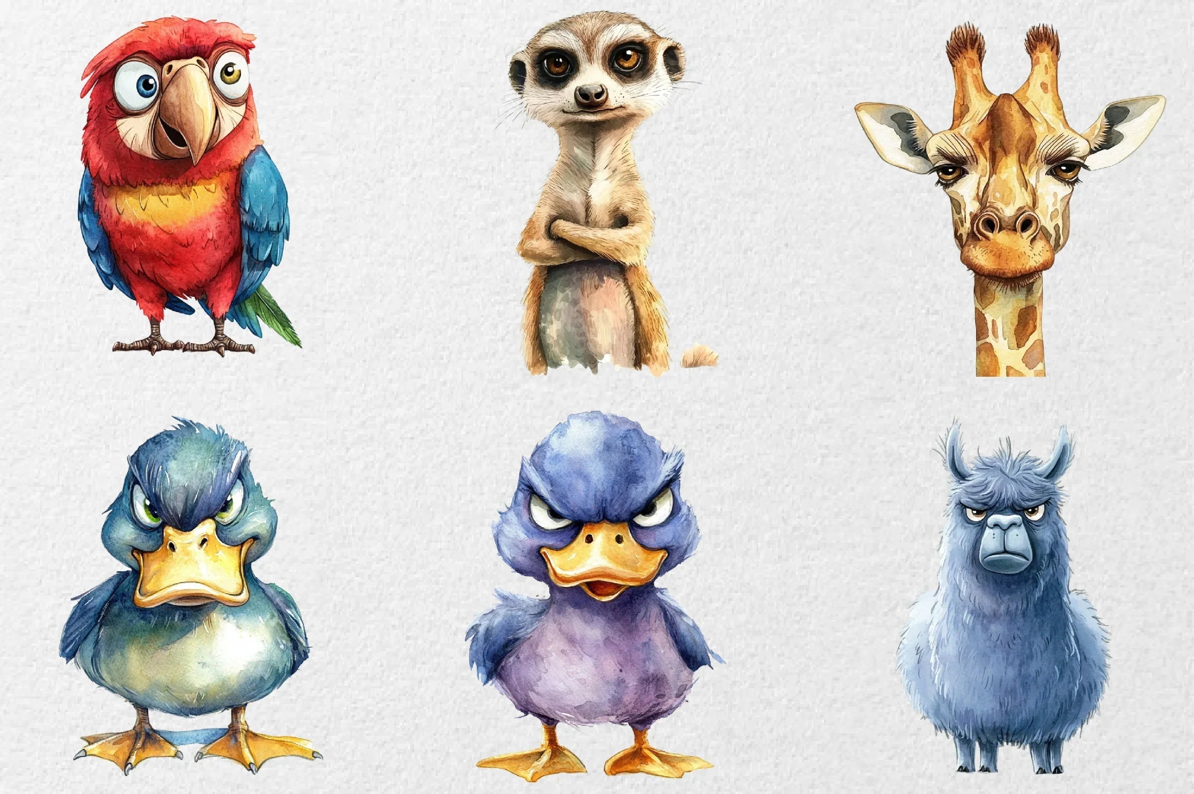 Grumpy Animals Clipart Bundle - Funny Collection - CraftNest - Digital Crafting and Art