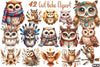 Boho Owl Clipart Bundle