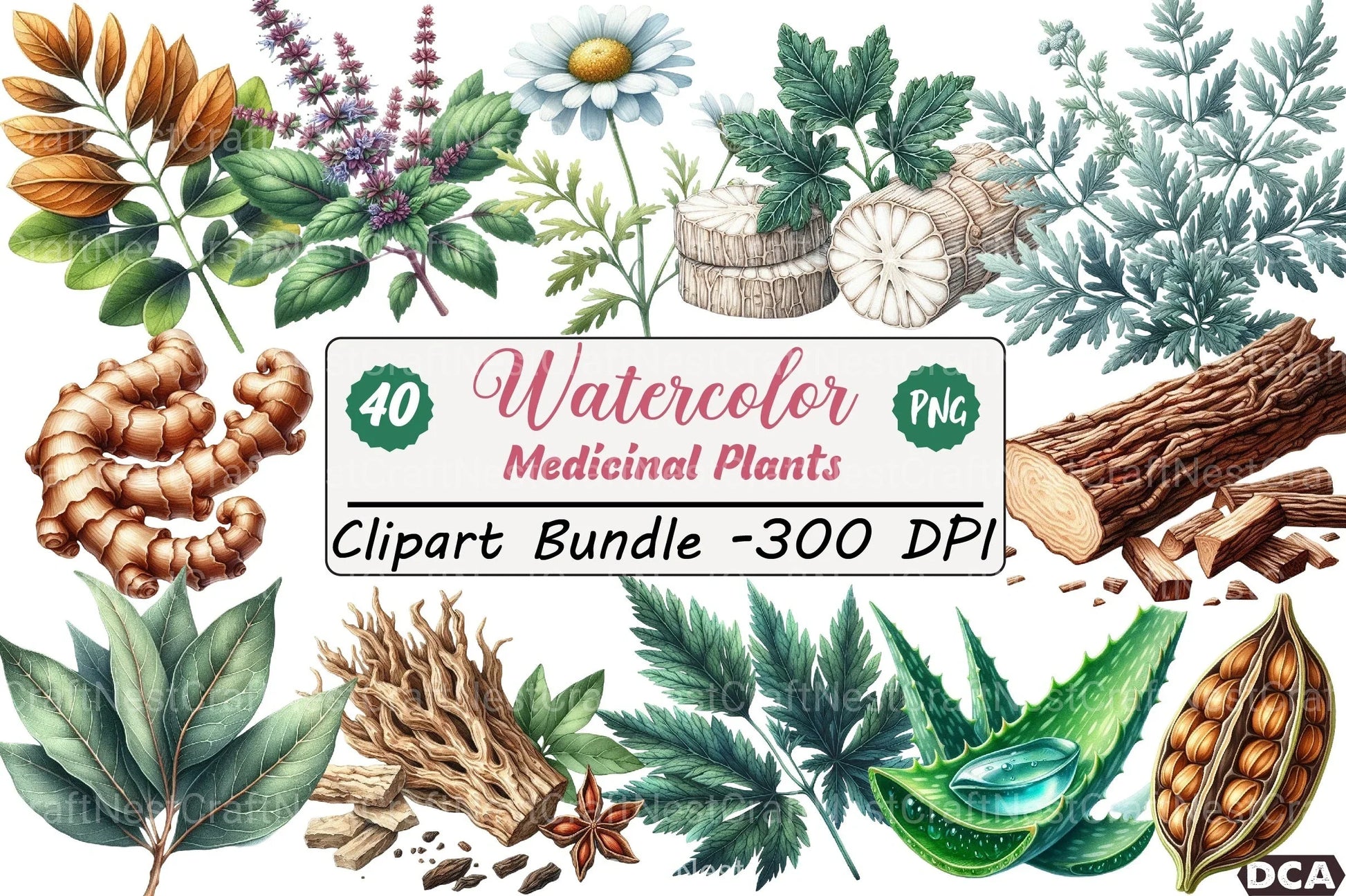 Medicinal Plants Clipart Bundle 1 - CraftNest - Digital Crafting and Art
