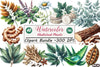 Medicinal Plants Clipart Bundle