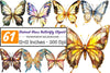 Stained Glass Butterfly Clipart Bundle