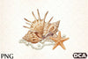 Seashells Clipart Bundle