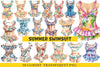 Summer Swimsuit Clipart Bundle