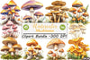 Mushroom Clipart Bundle
