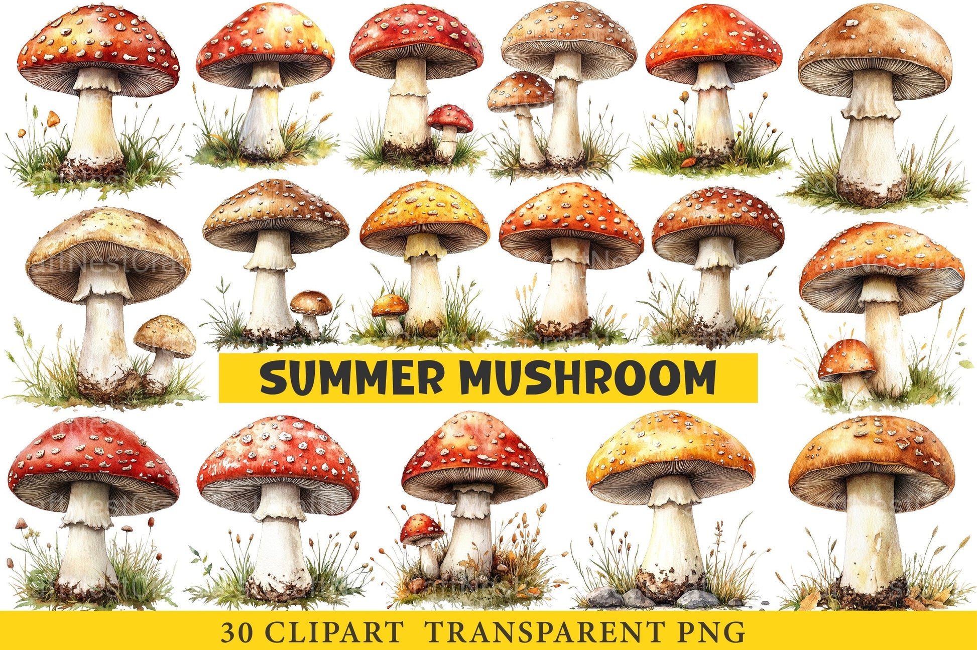 Summer Mushroom Clipart Bundle - CraftNest - Digital Crafting and Art