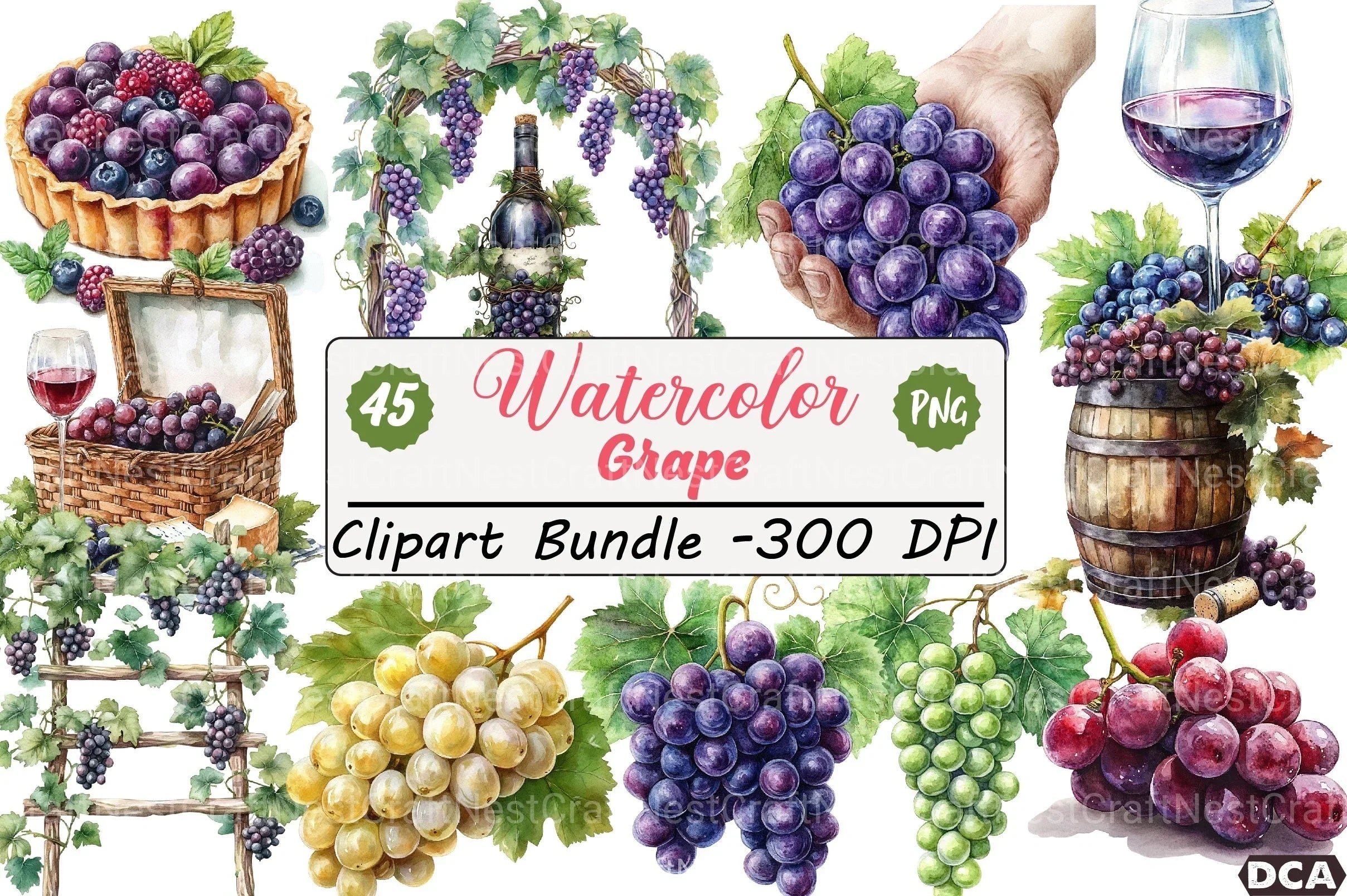 Grape Clipart Bundle 8 - CraftNest - Digital Crafting and Art