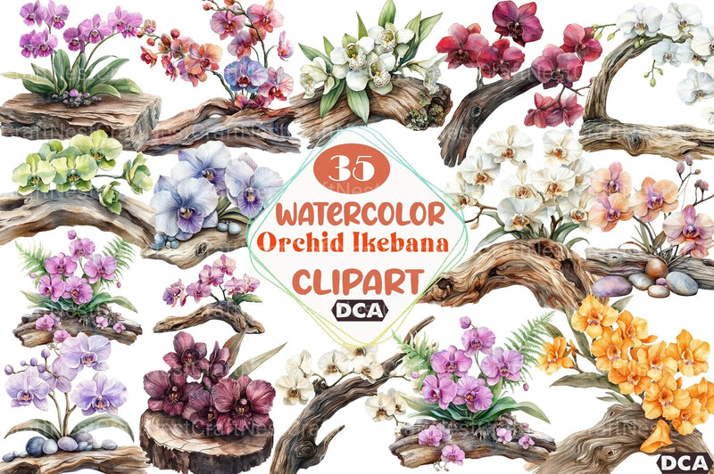 Exclusive Orchid Ikebana on Driftwood Clipart Bundle - CraftNest - Digital Crafting and Art