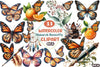 Monarch Butterfly Clipart Bundle