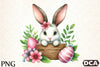 Cute Easter Bunny Clipart Bundle