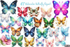 Butterfly Clipart Bundle