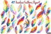 Rainbow Feathers Clipart Bundle