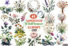 Botanical Forest Wildflower Clipart Bundle