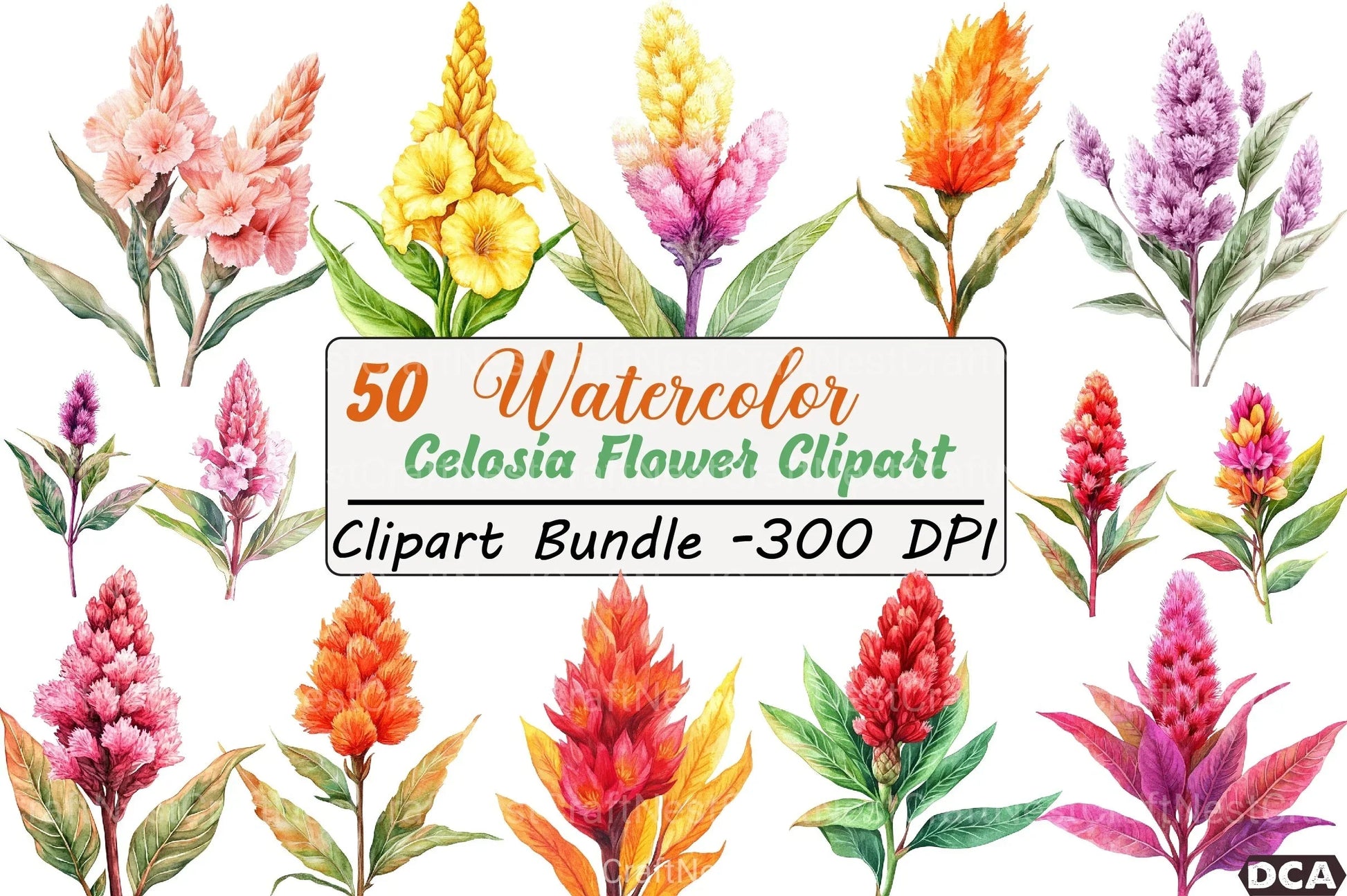 Celosia Flower Clipart Bundle 11 - CraftNest - Digital Crafting and Art
