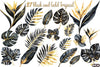 Black and Gold Tropical Clipart Bundle
