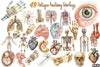 Antique Anatomy Overlays Clipart Bundle