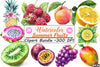 Summer Fruits Clipart Bundle