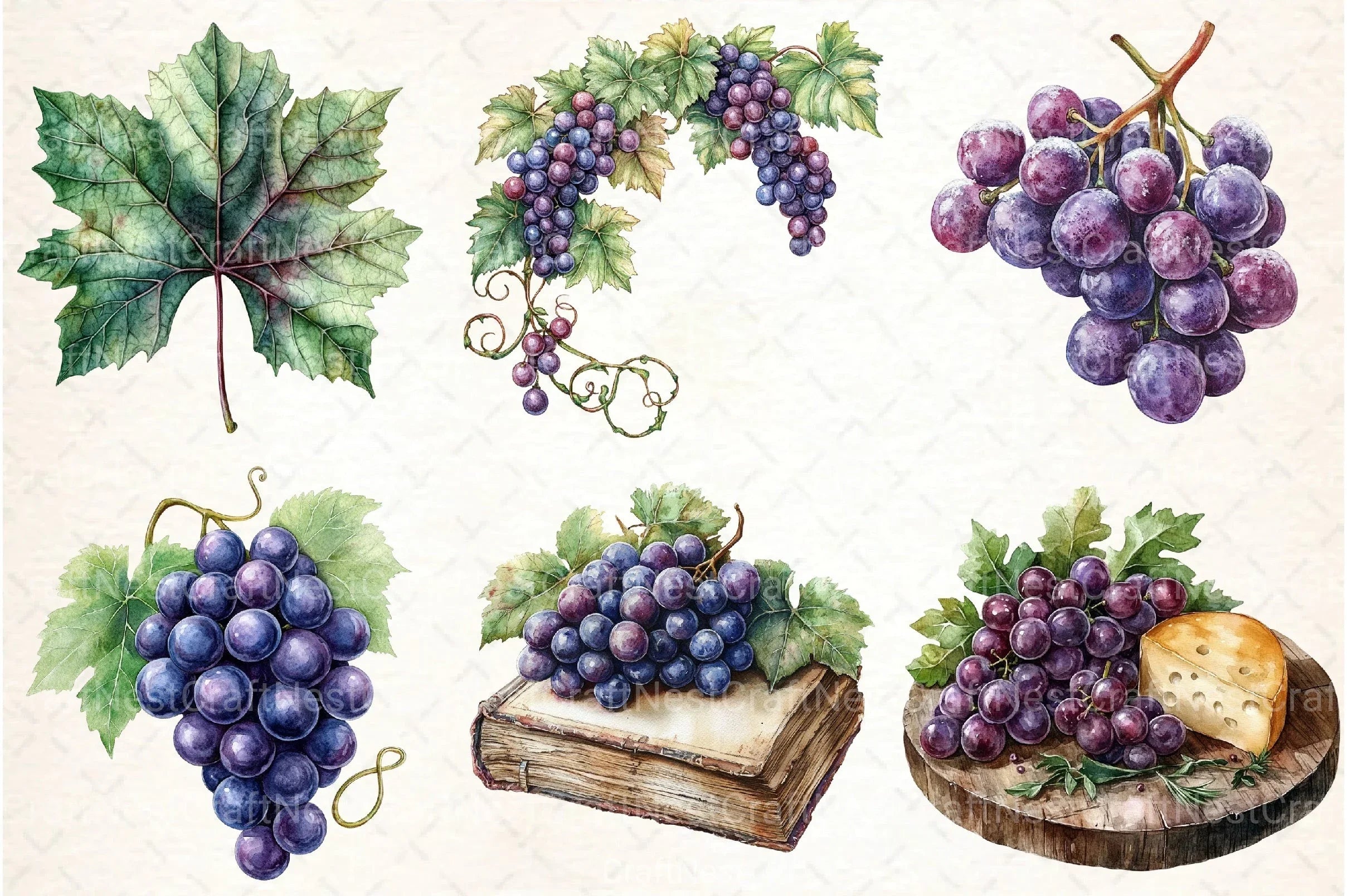 Grape Clipart Bundle 8 - CraftNest - Digital Crafting and Art
