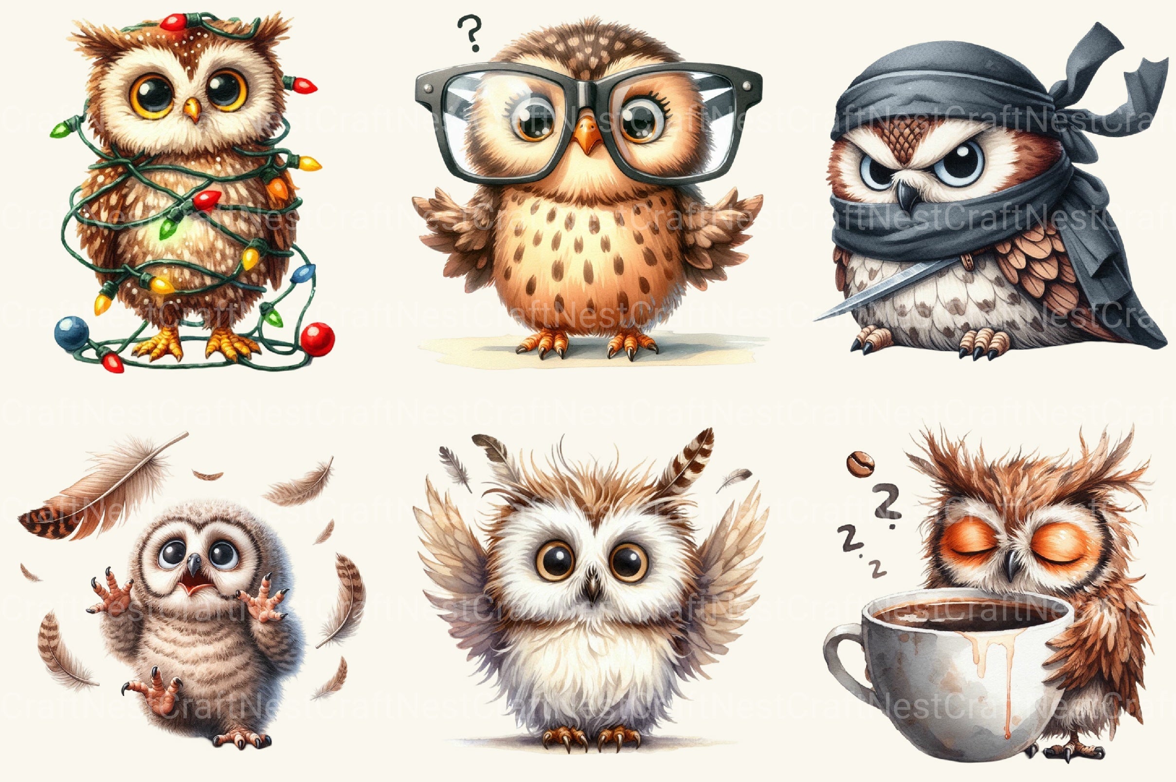 Funny Owl Clipart Bundle