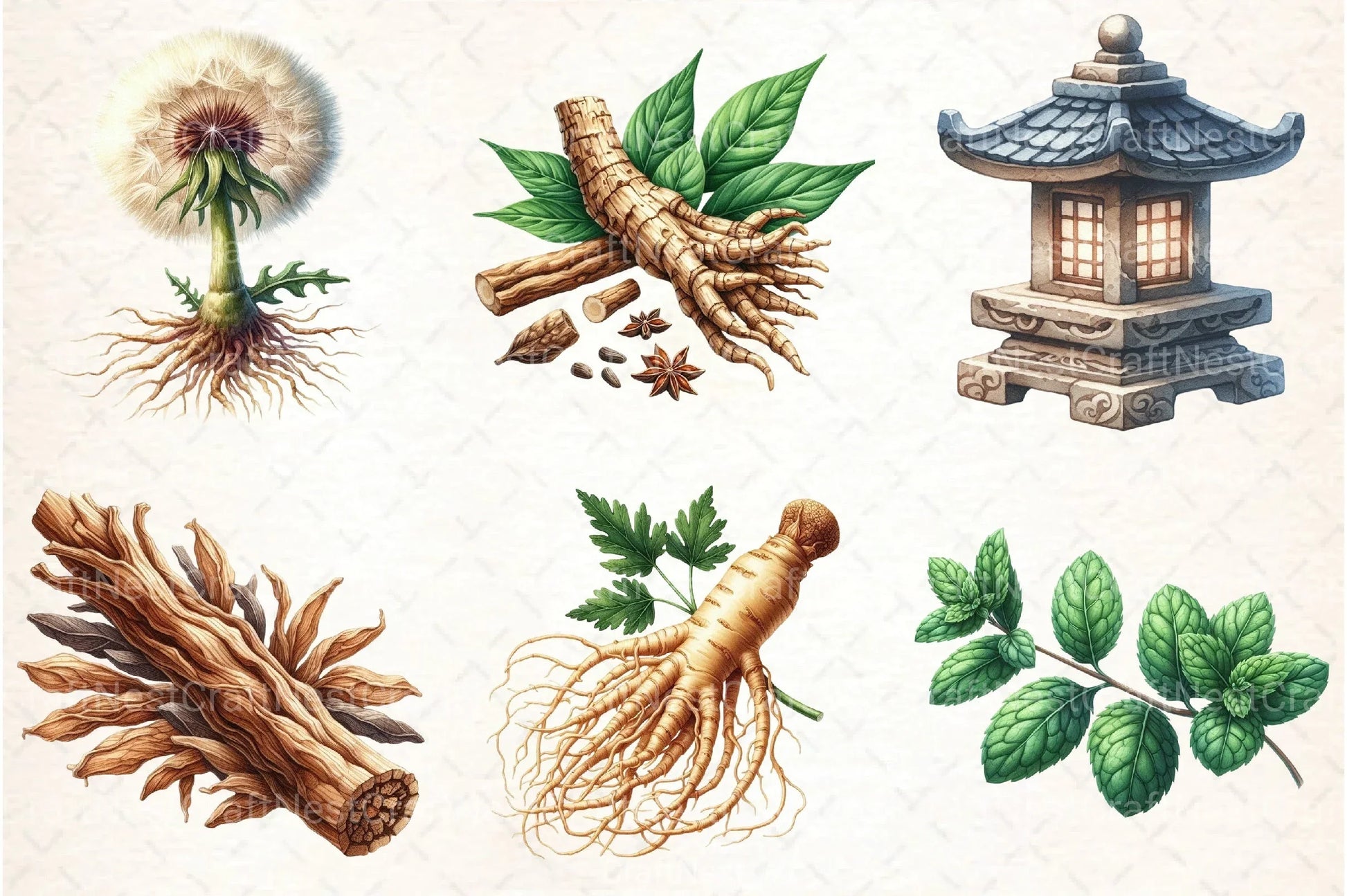 Medicinal Plants Clipart Bundle 1 - CraftNest - Digital Crafting and Art