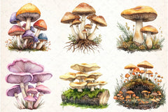 Mushroom Clipart Bundle 2 - CraftNest - Digital Crafting and Art
