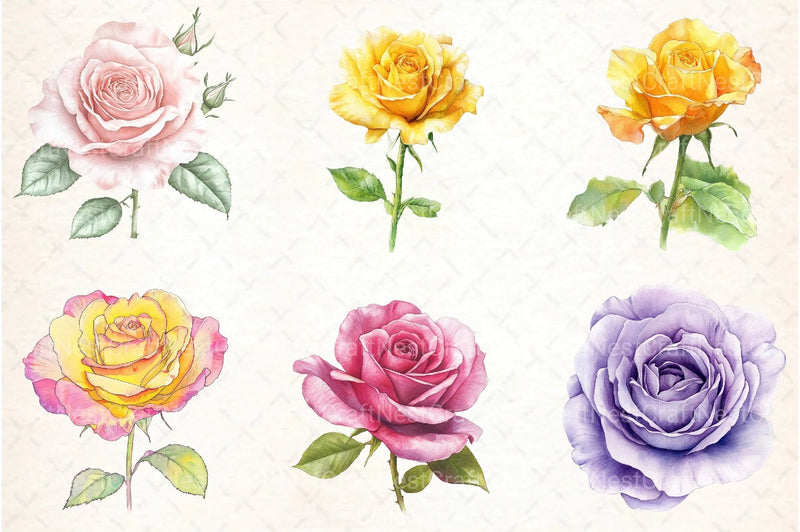 Spring Roses Clipart Bundle Lithograph - CraftNest - Digital Crafting and Art