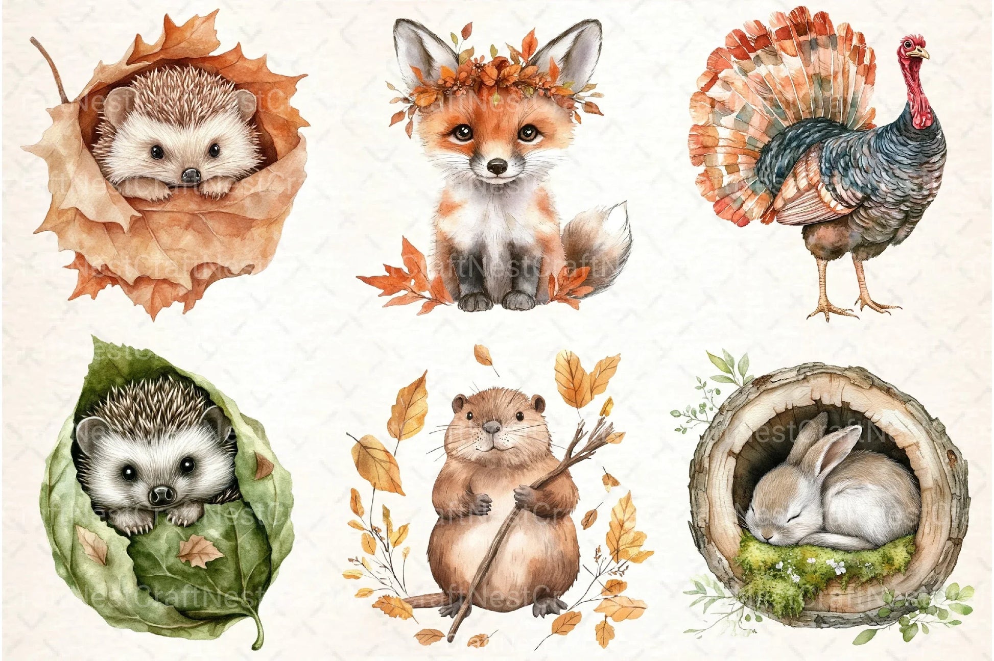 Autumn Forest Animal Clipart Bundle 2 - CraftNest - Digital Crafting and Art
