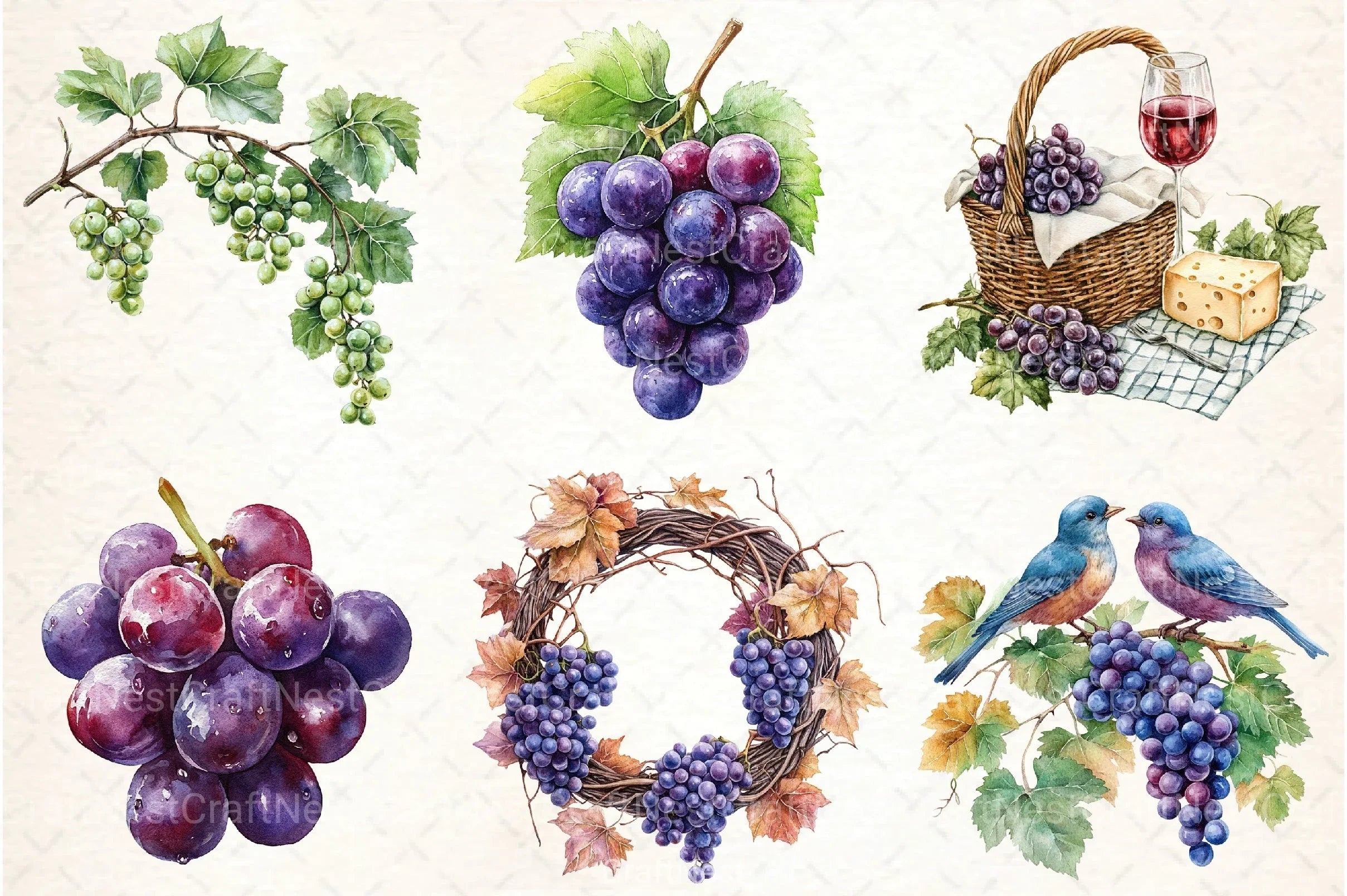 Grape Clipart Bundle 8 - CraftNest - Digital Crafting and Art